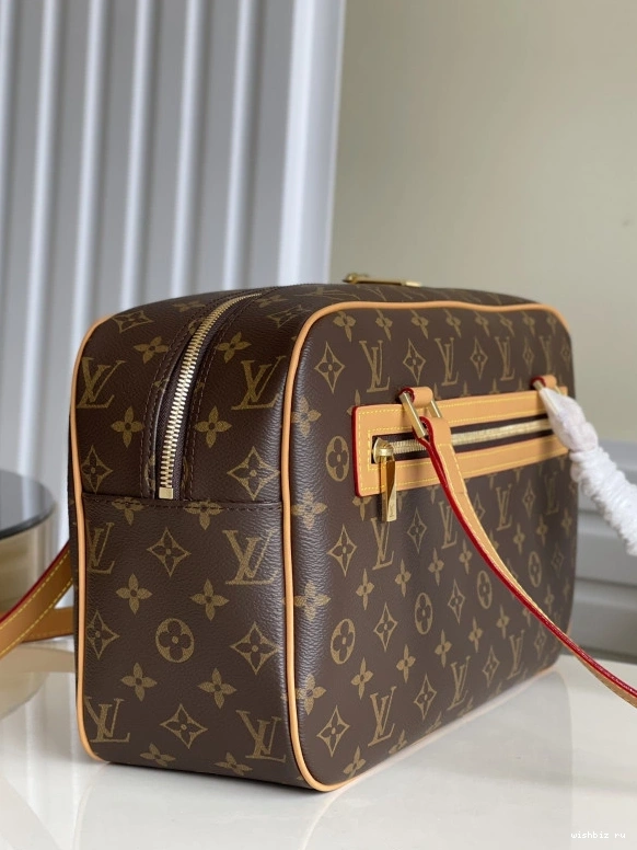 WIS VUITTON CITE LOUIS 0206